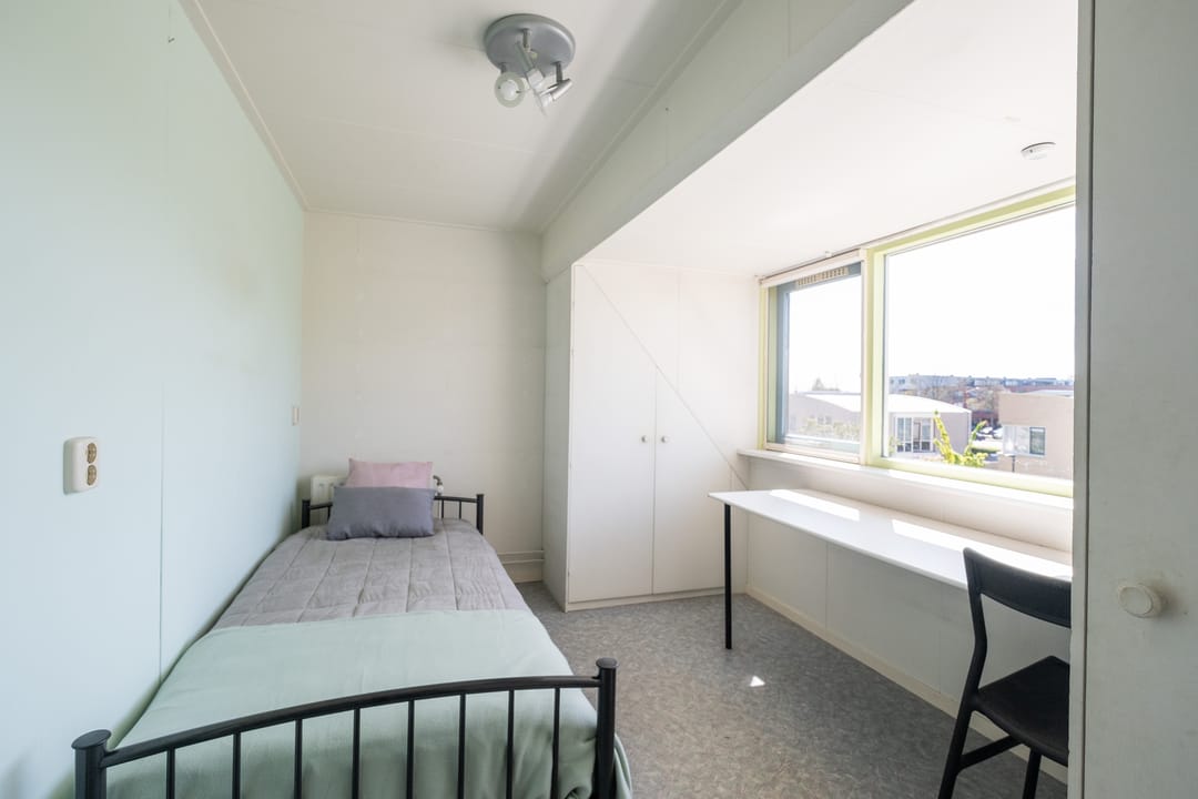 Foto 23 van Paradijsvogel 58