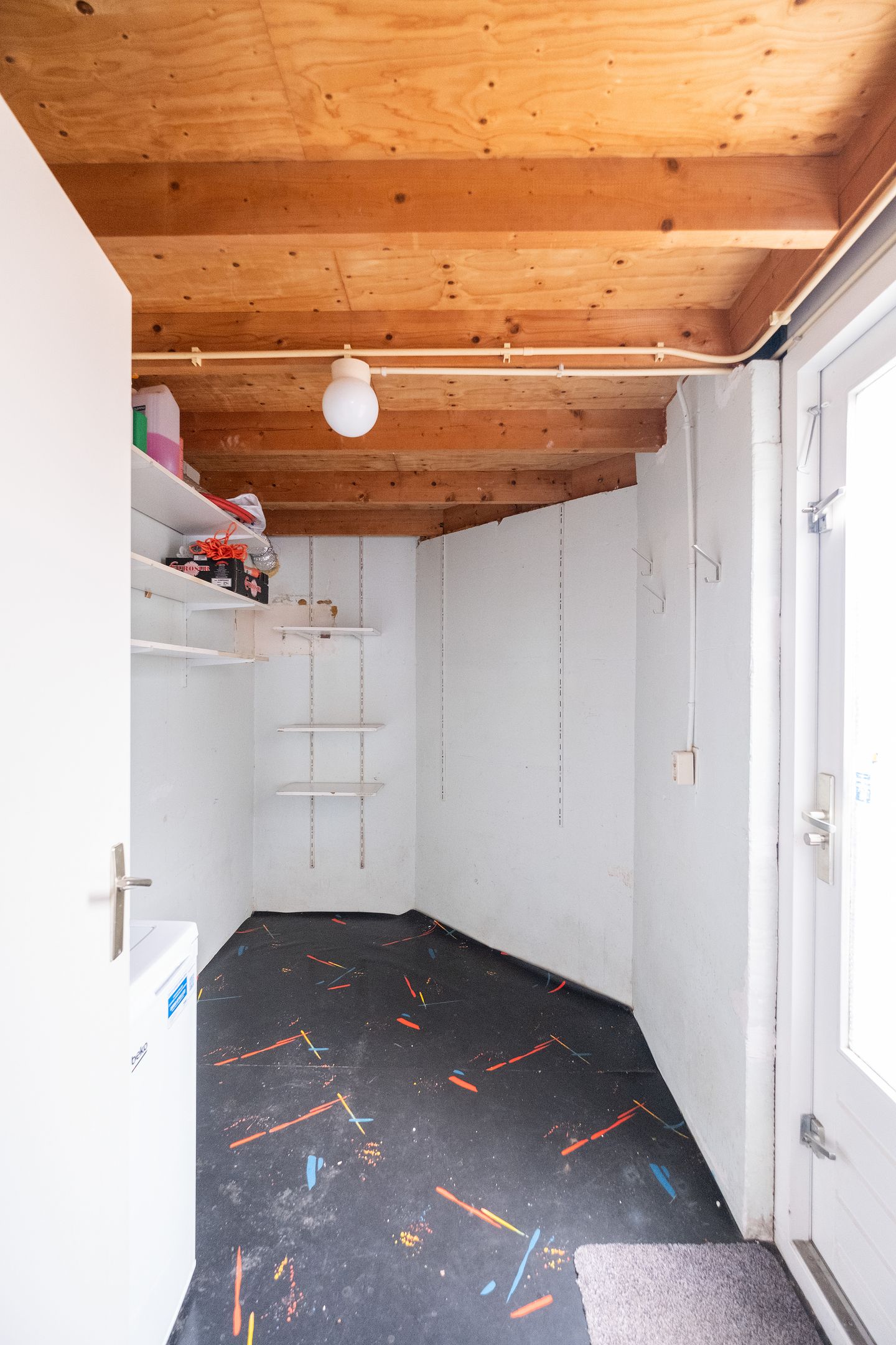 Foto 10 van Paradijsvogel 58