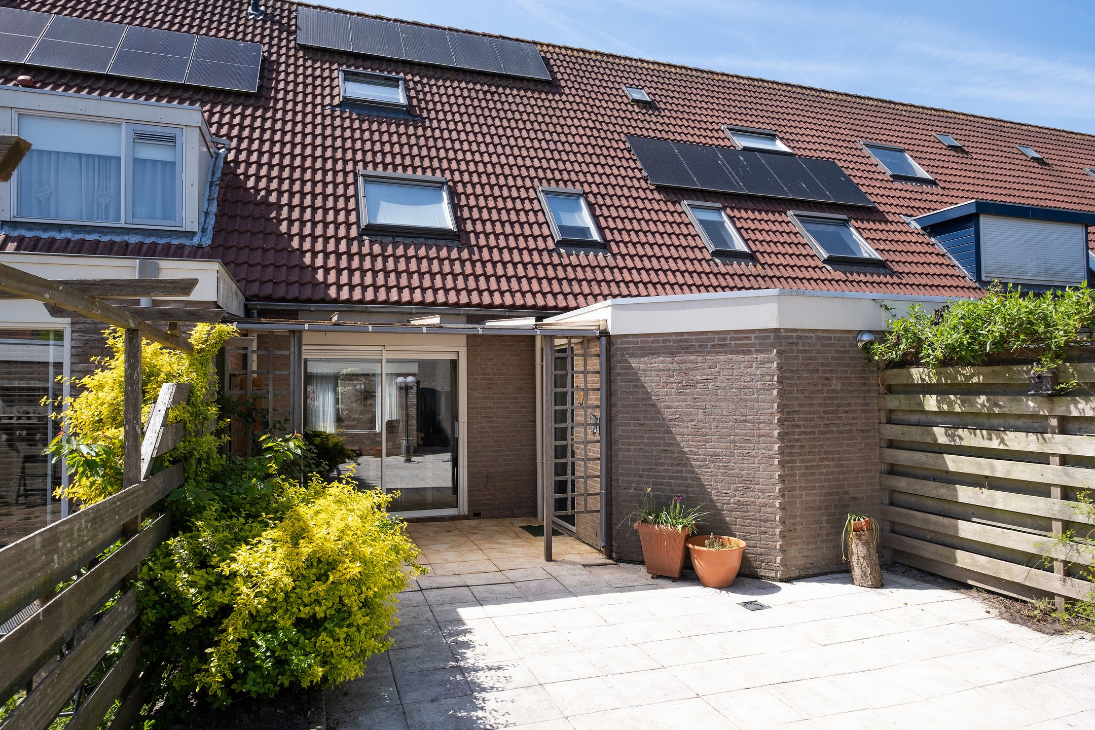 Foto 27 van Paradijsvogel 58