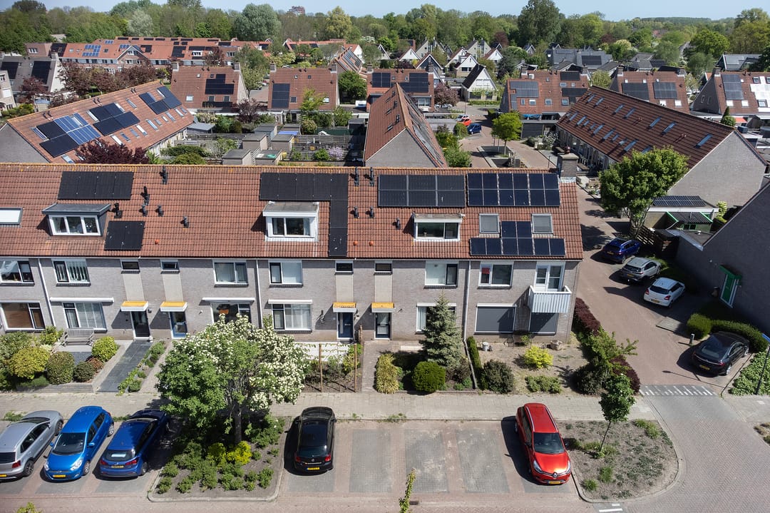 Foto 32 van Paradijsvogel 58