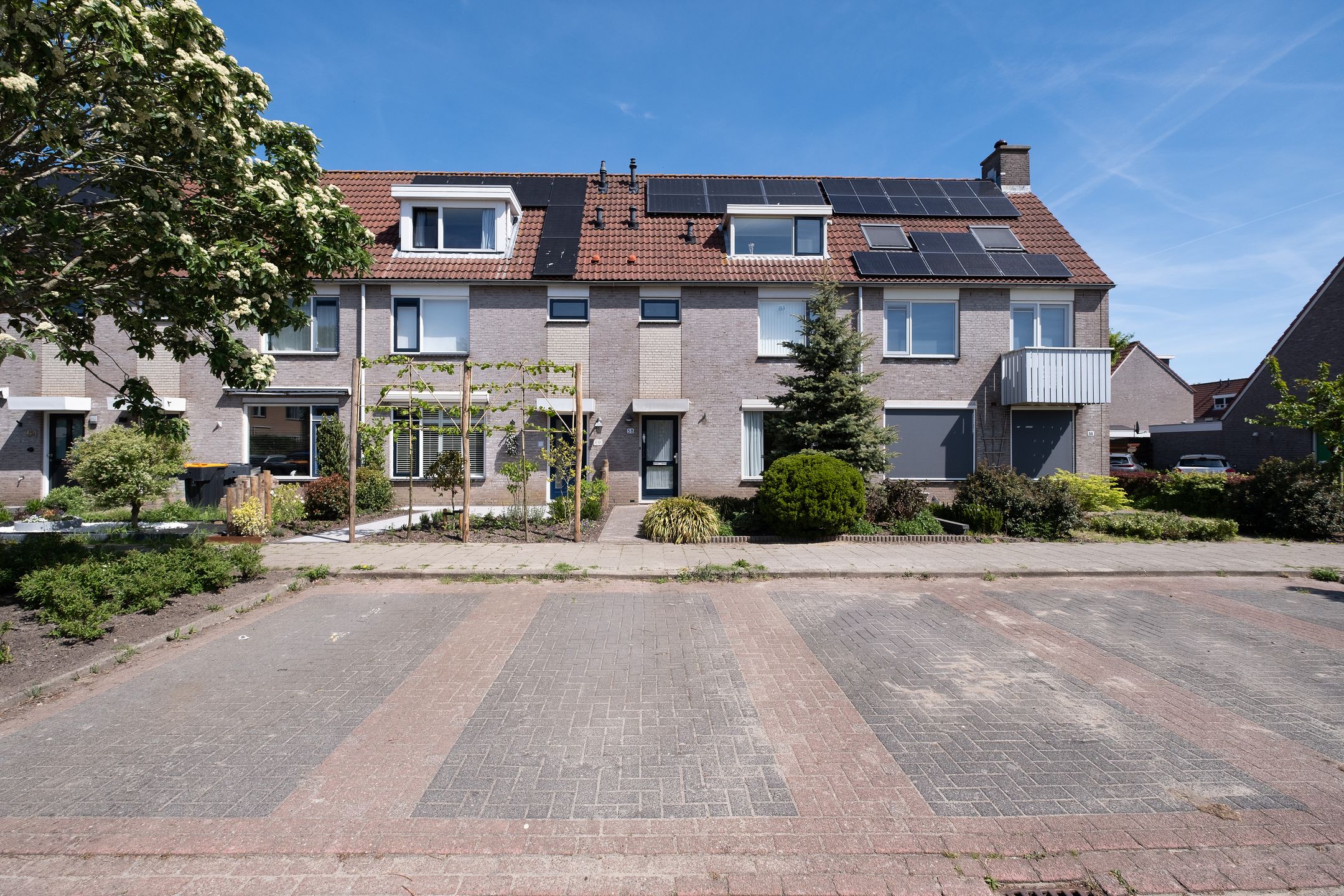 Foto 33 van Paradijsvogel 58