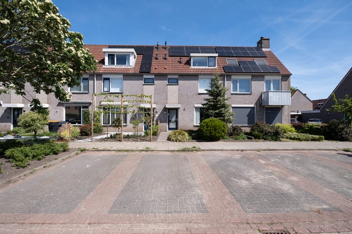 Foto 33 van Paradijsvogel 58