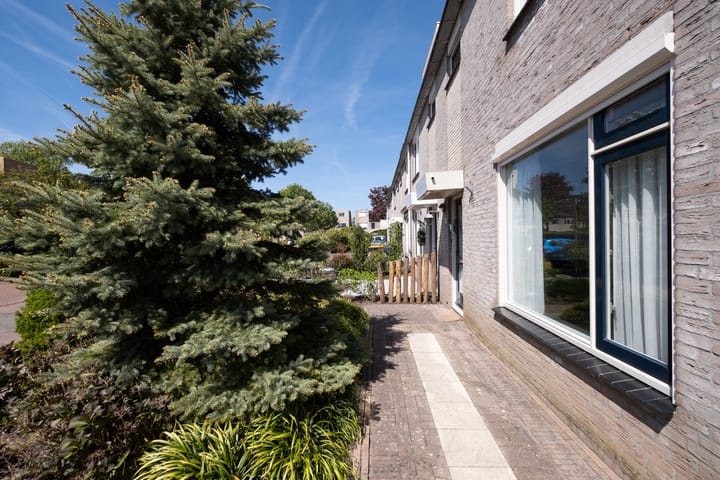 Foto 34 van Paradijsvogel 58