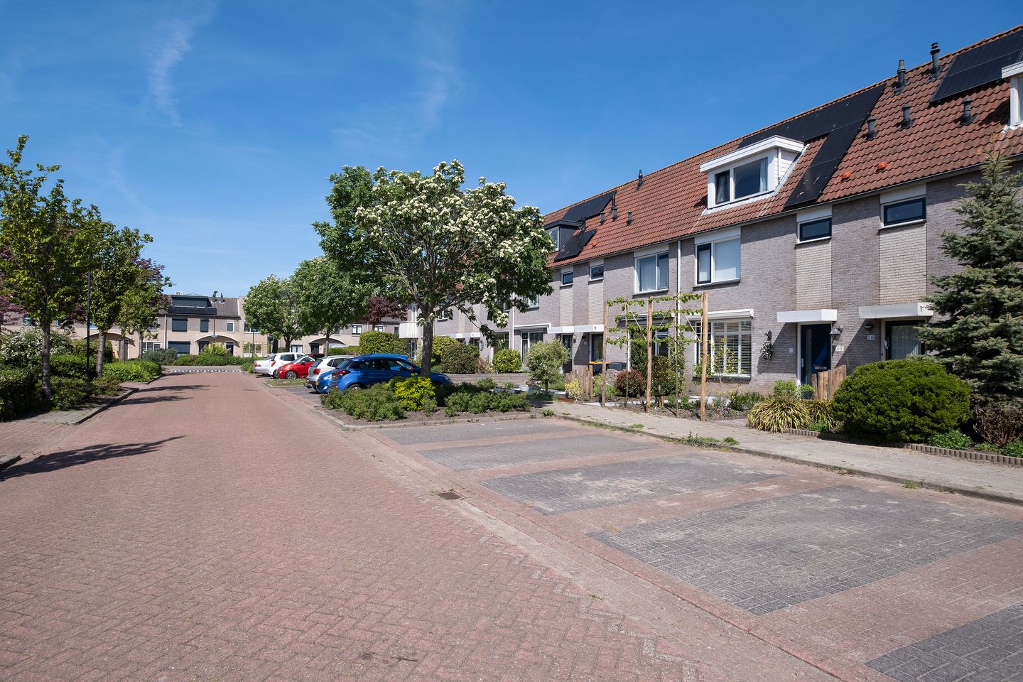 Foto 35 van Paradijsvogel 58