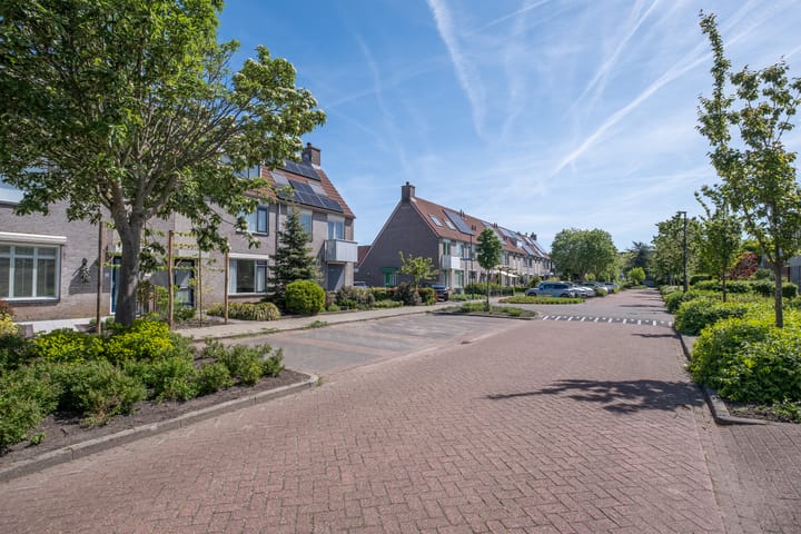 Foto 36 van Paradijsvogel 58