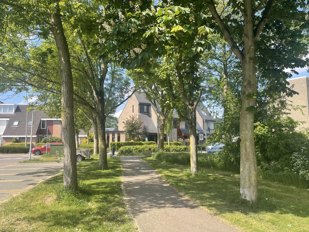 Foto 2 van Rivierenlaan 102