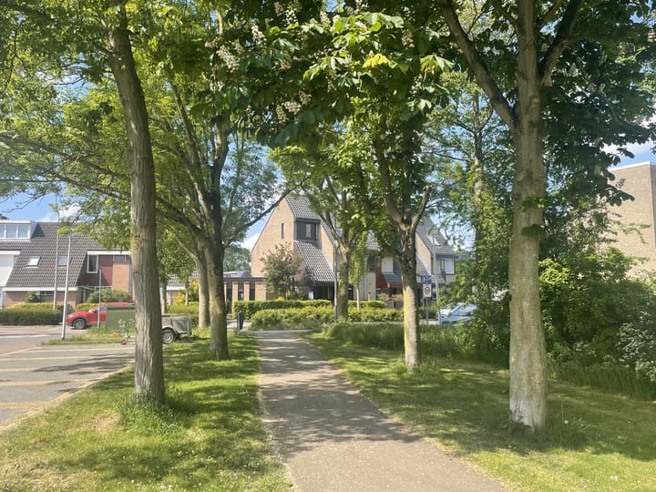 Foto 2 van Rivierenlaan 102