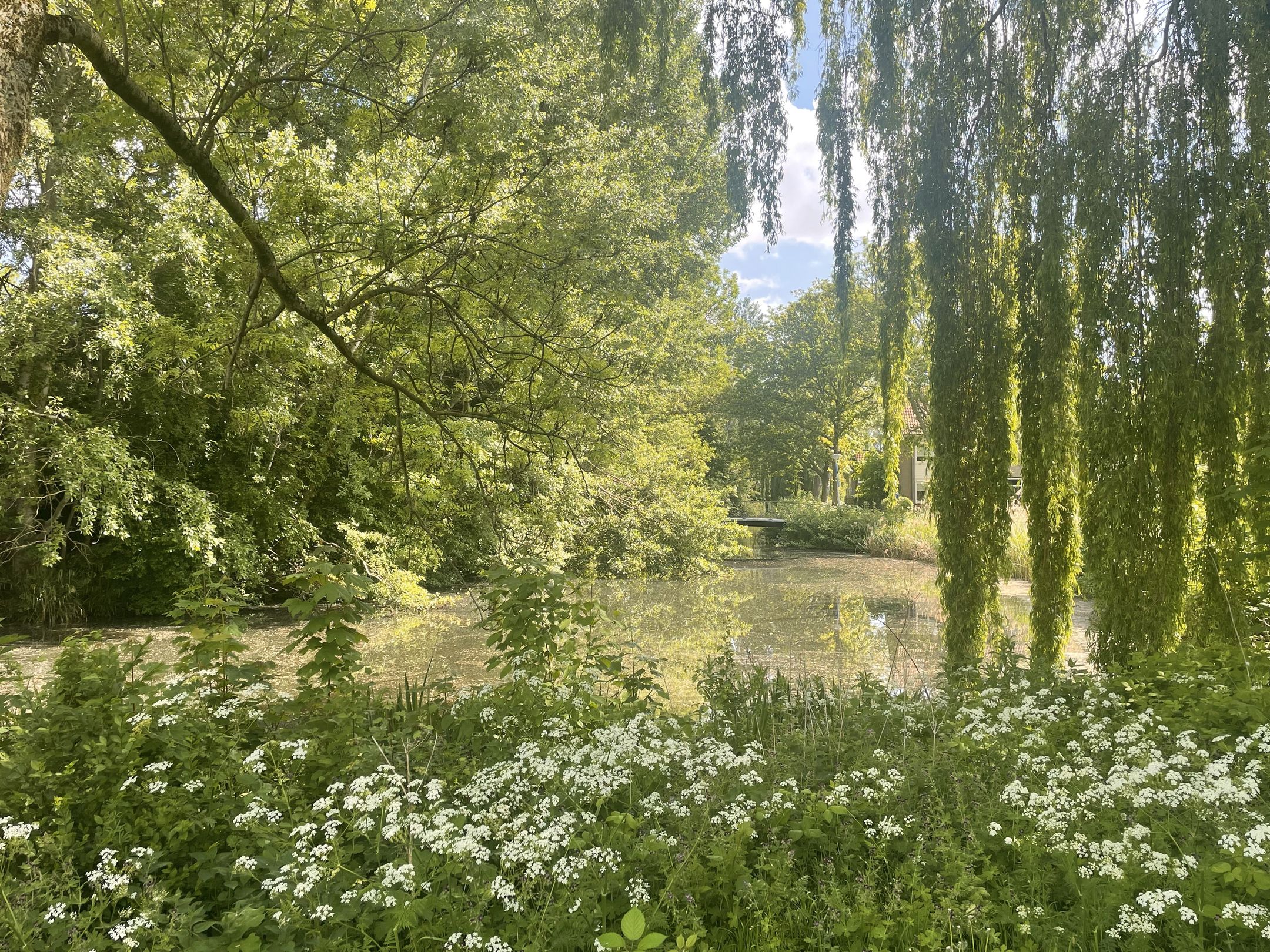 Foto 33 van Rivierenlaan 102