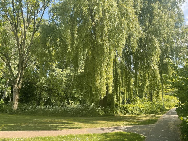 Foto 34 van Rivierenlaan 102