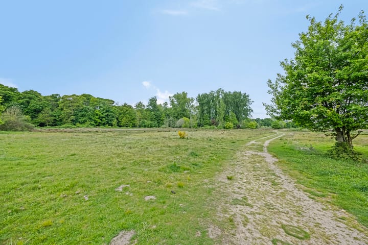 Foto 54 van Dennenweg 12