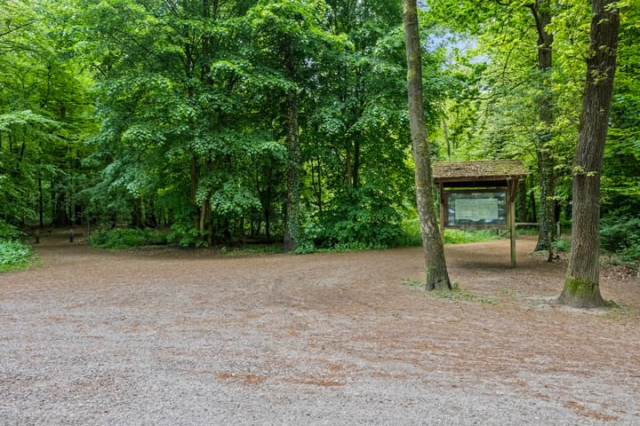 Foto 55 van Dennenweg 12