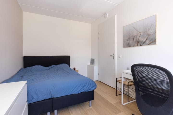 Foto 31 van Elle Molstraat 33