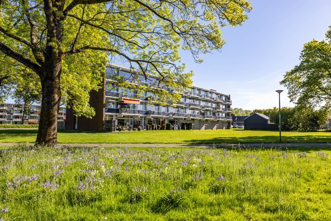 Foto 1 van Johan Willem Frisolaan 30