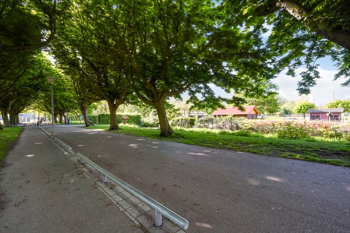 Foto 45 van Vreeswijkstraat 137