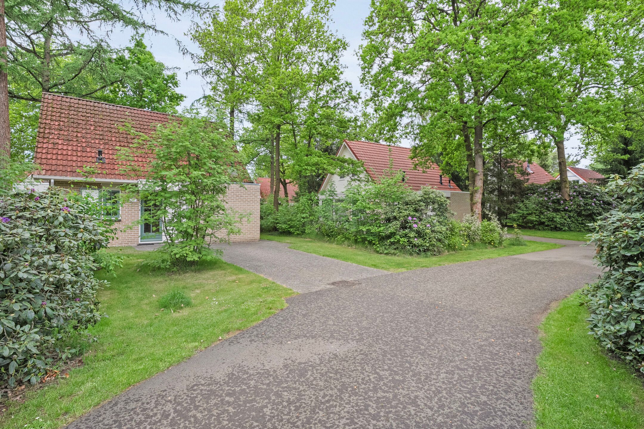 Foto 3 van Korhoen 47