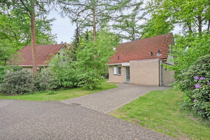 Foto 4 van Korhoen 47