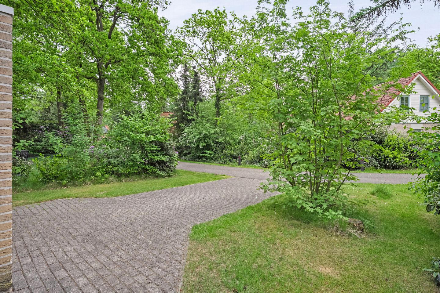 Foto 5 van Korhoen 47