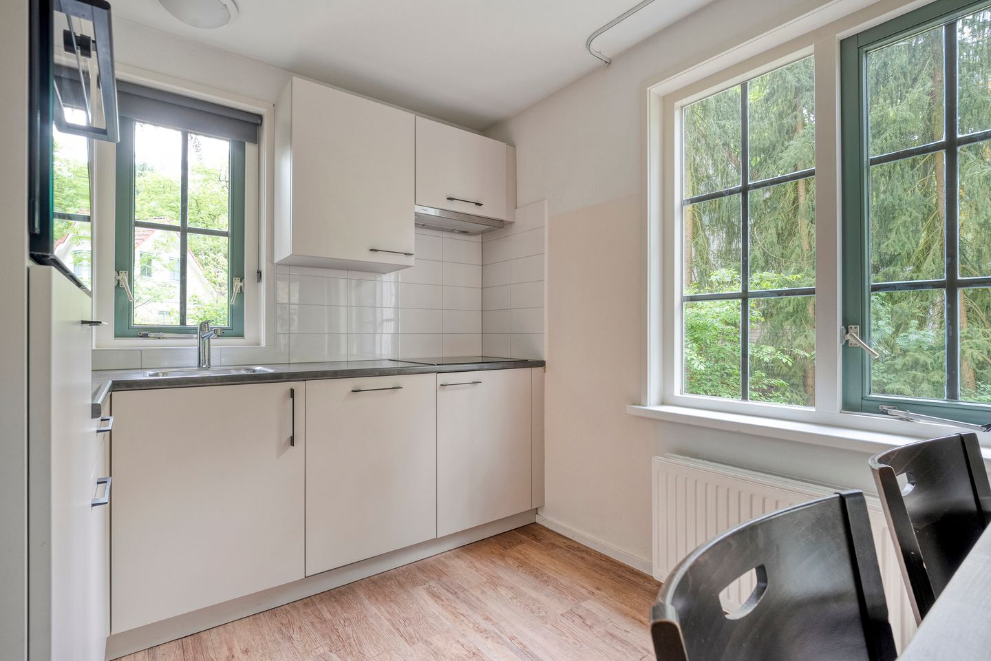 Foto 14 van Korhoen 47