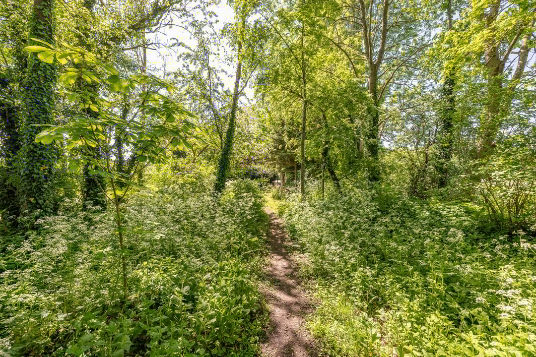 Foto 26 van Zelhemseweg 11