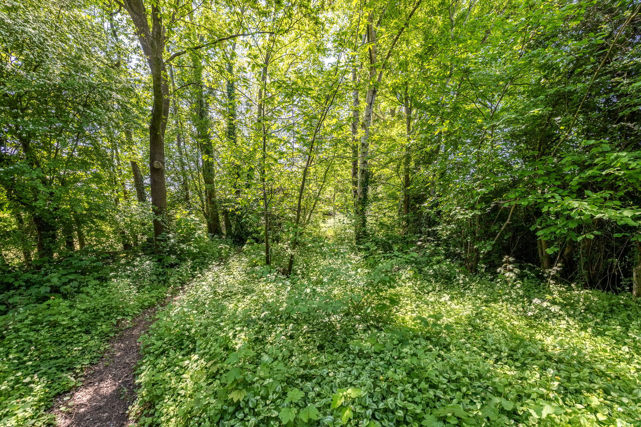 Foto 27 van Zelhemseweg 11