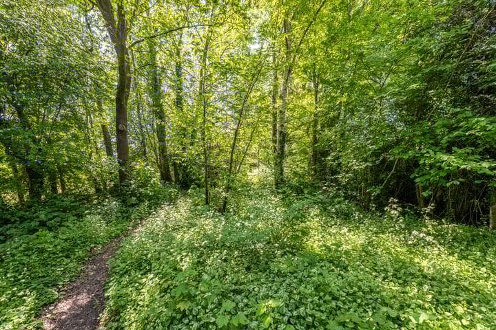 Foto 27 van Zelhemseweg 11