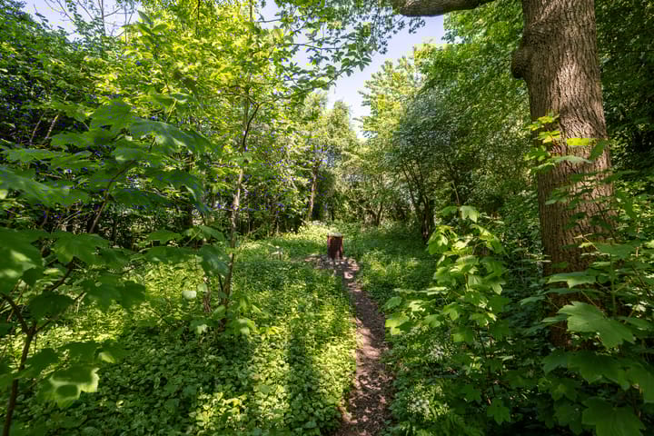 Foto 28 van Zelhemseweg 11