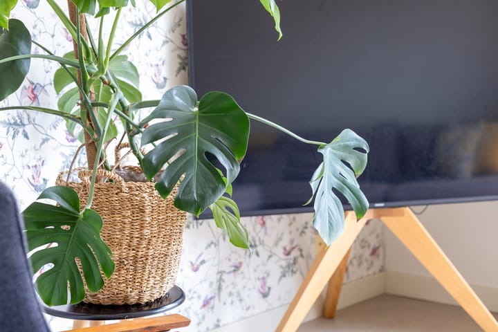 Foto 9 van Cronjéstraat 36