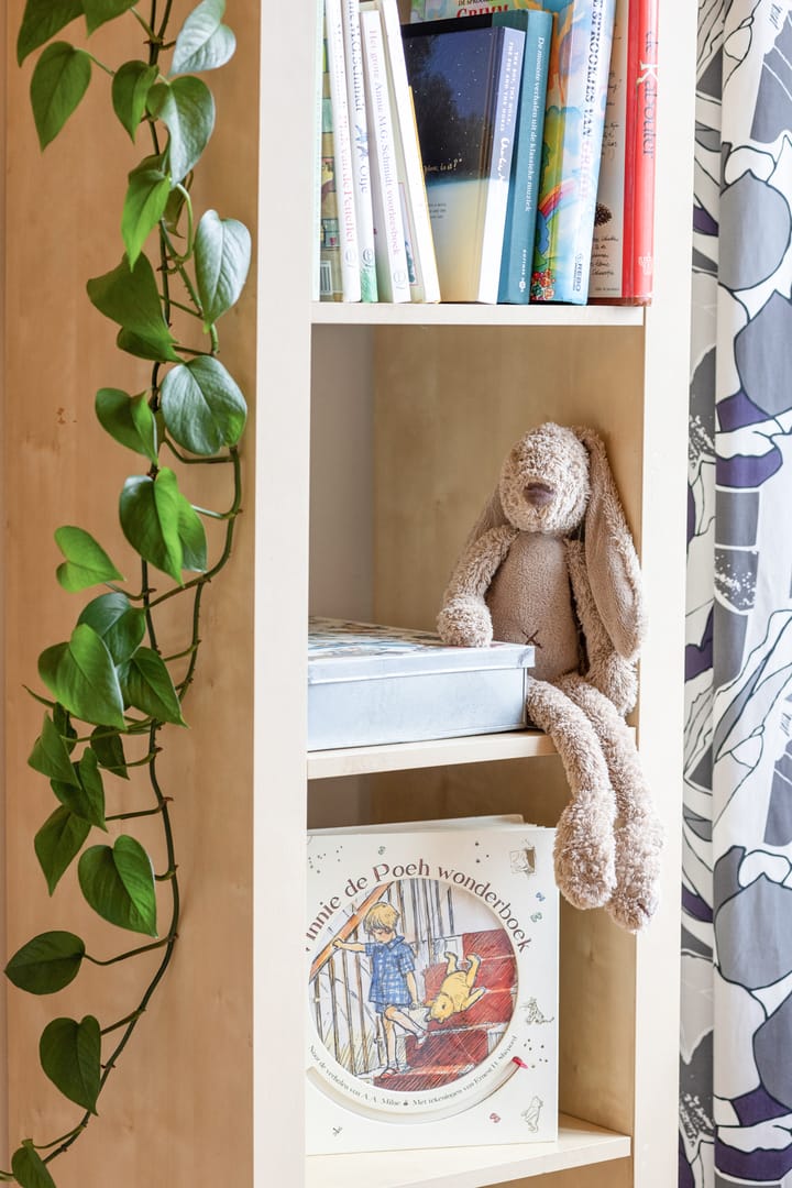 Foto 22 van Cronjéstraat 36