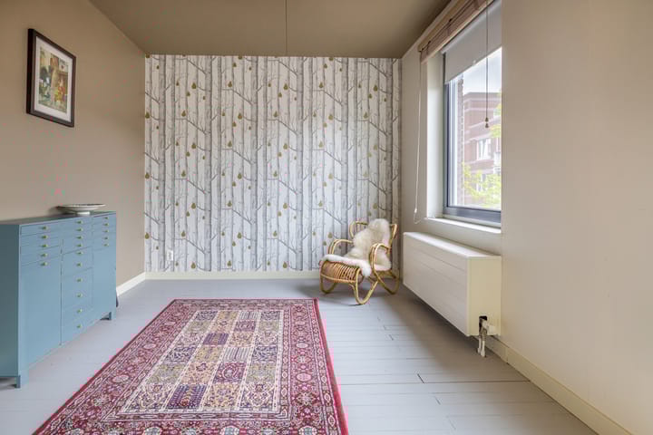 Foto 30 van Cronjéstraat 36