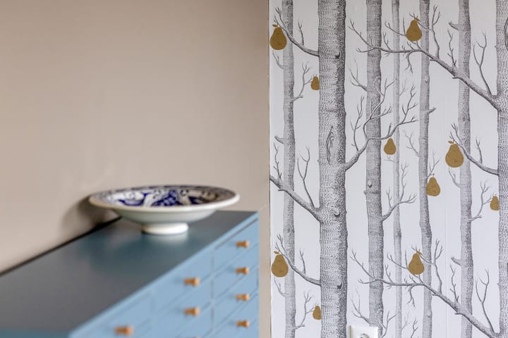 Foto 31 van Cronjéstraat 36