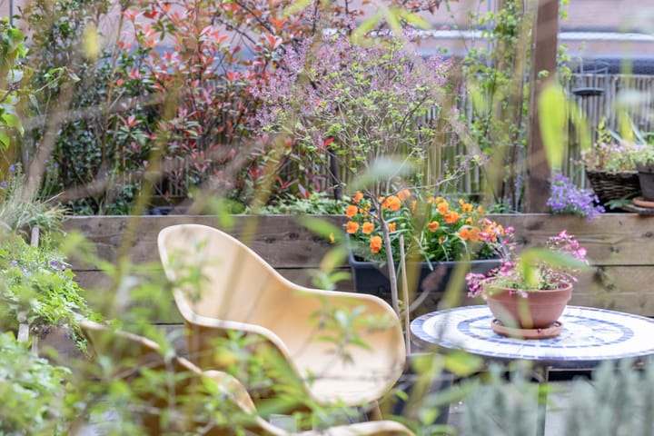 Foto 61 van Cronjéstraat 36