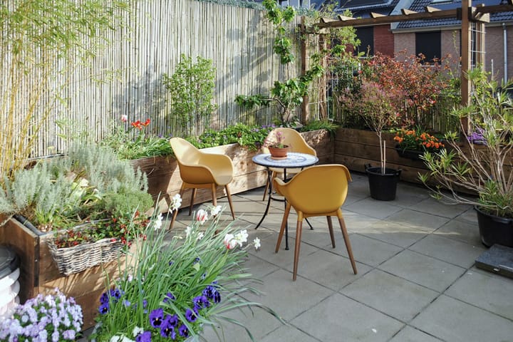 Foto 63 van Cronjéstraat 36