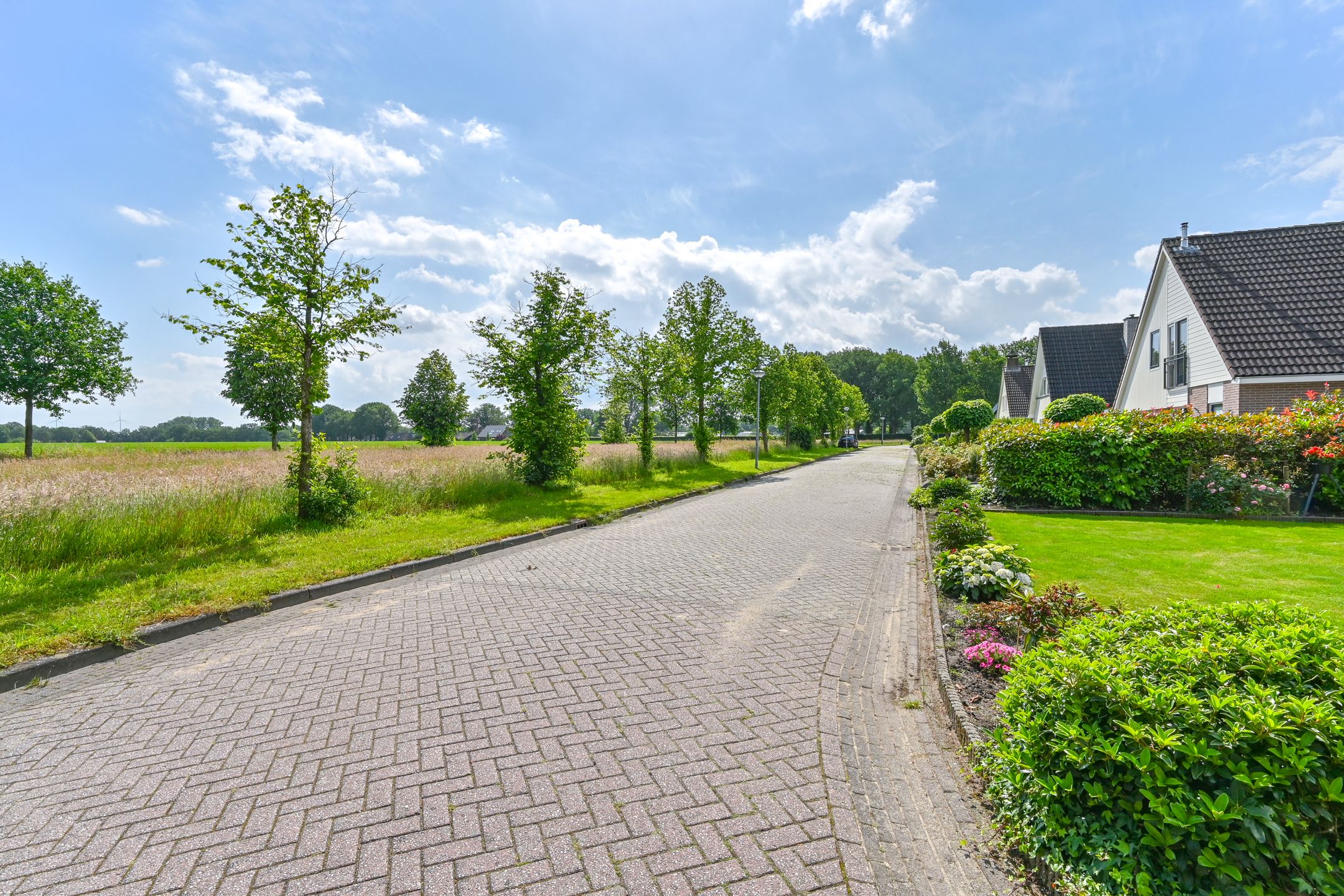 Photo 6 of Zilverdenlaan 10