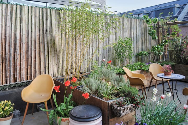 Foto 64 van Cronjéstraat 36