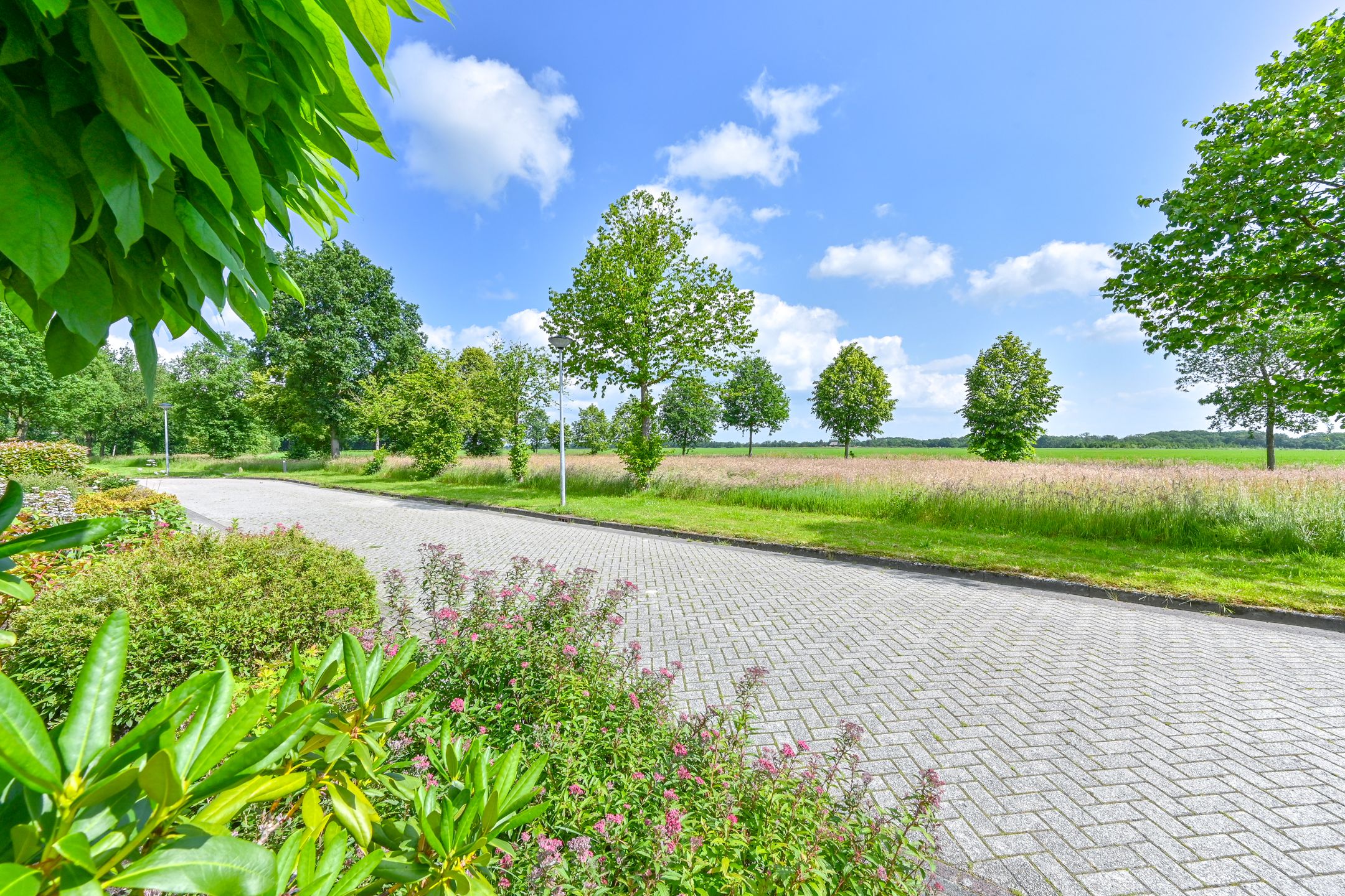 Photo 9 of Zilverdenlaan 10