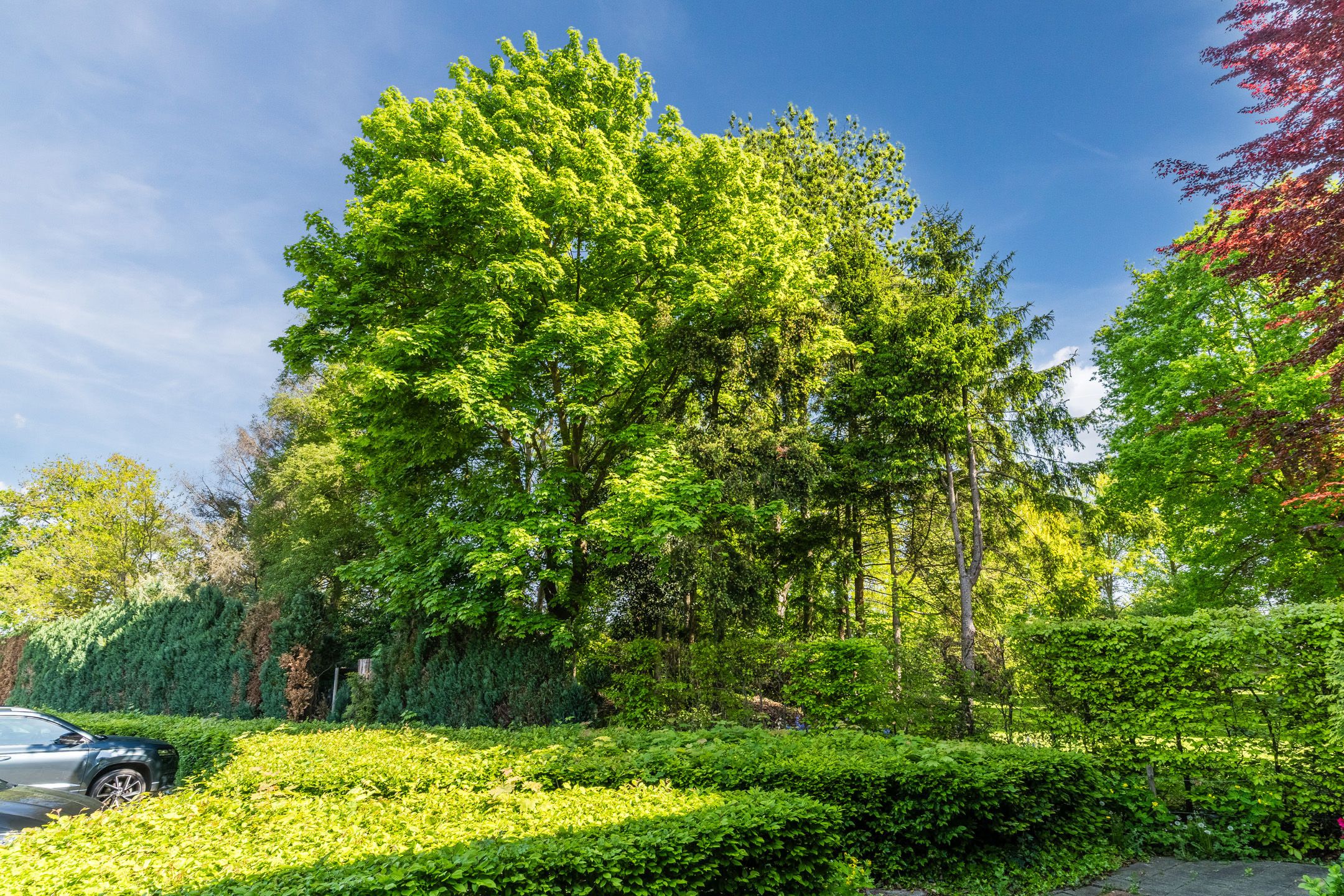 Foto 42 van Koninginnestraat 3