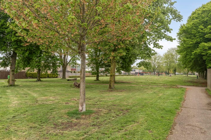 Photo 29 of Wagenaarstraat 329