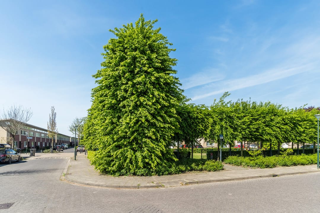 Foto 46 van Koninginnestraat 3