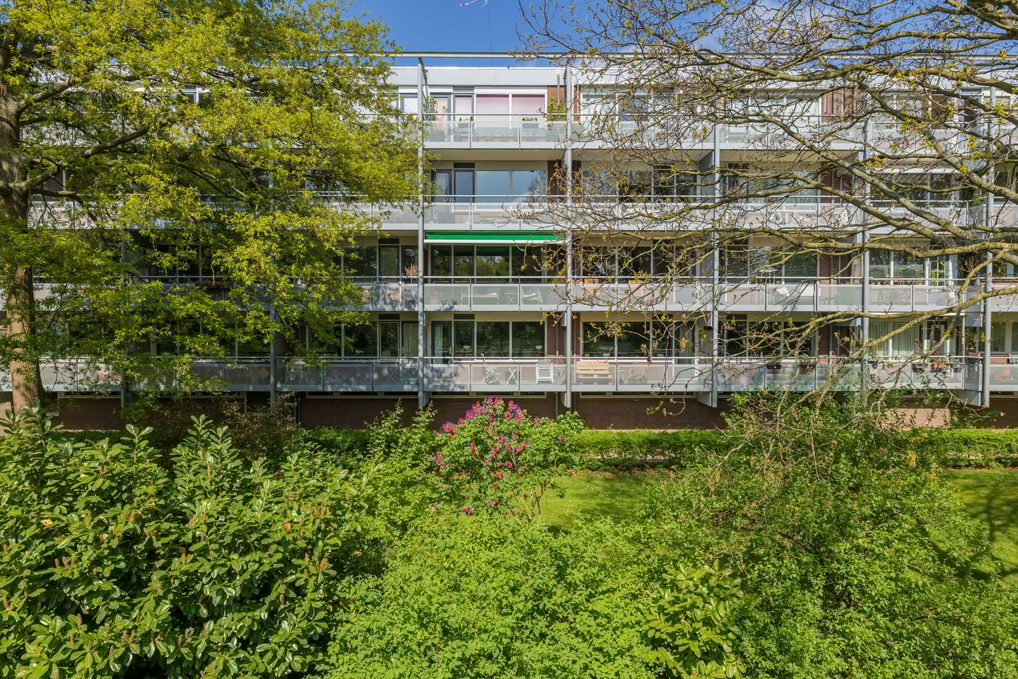 Foto 1 van Roodborststraat 45