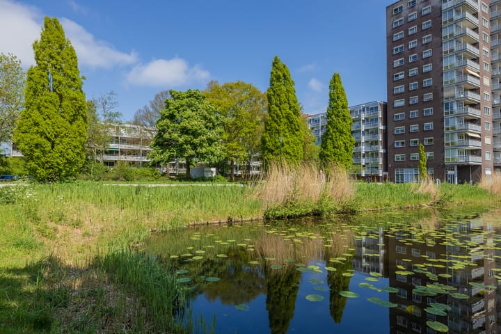 Foto 39 van Roodborststraat 45