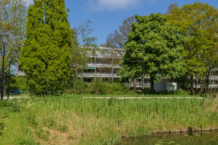 Foto 41 van Roodborststraat 45