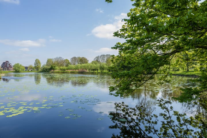 Foto 43 van Roodborststraat 45