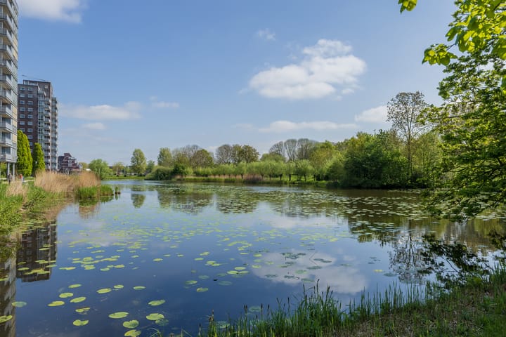 Foto 44 van Roodborststraat 45