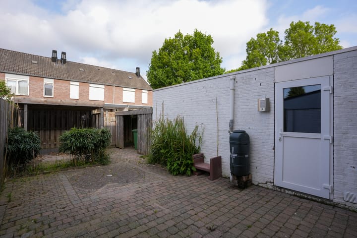 Foto 18 van Jacques Lebel 6