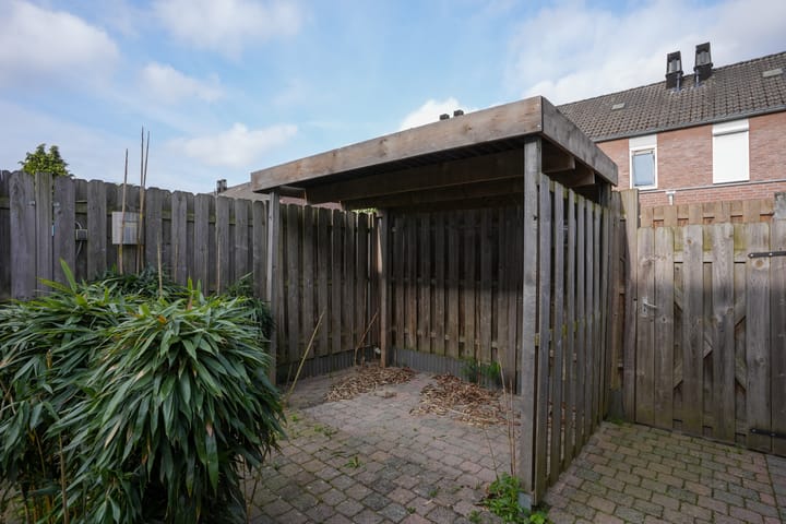 Foto 19 van Jacques Lebel 6