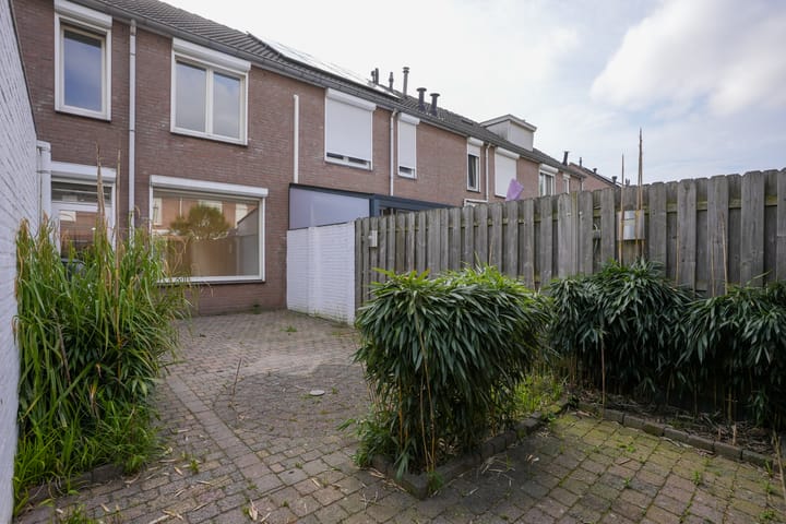 Foto 20 van Jacques Lebel 6