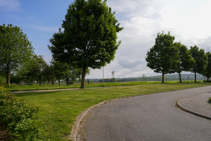 Foto 25 van Jacques Lebel 6