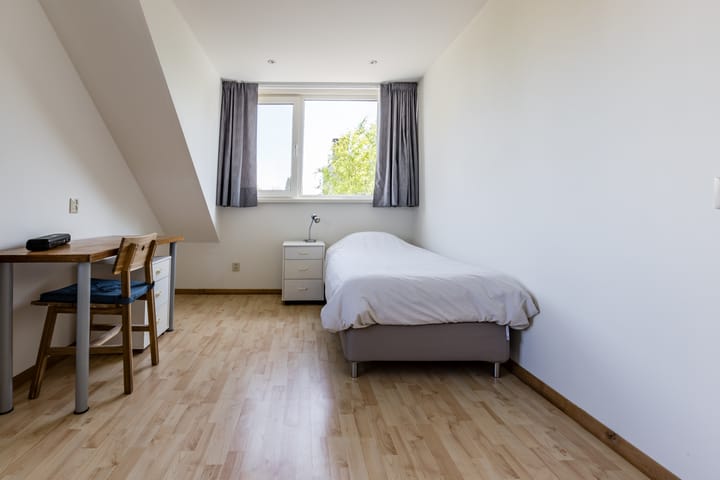 Foto 28 van N.T. Hopmanstraat 1