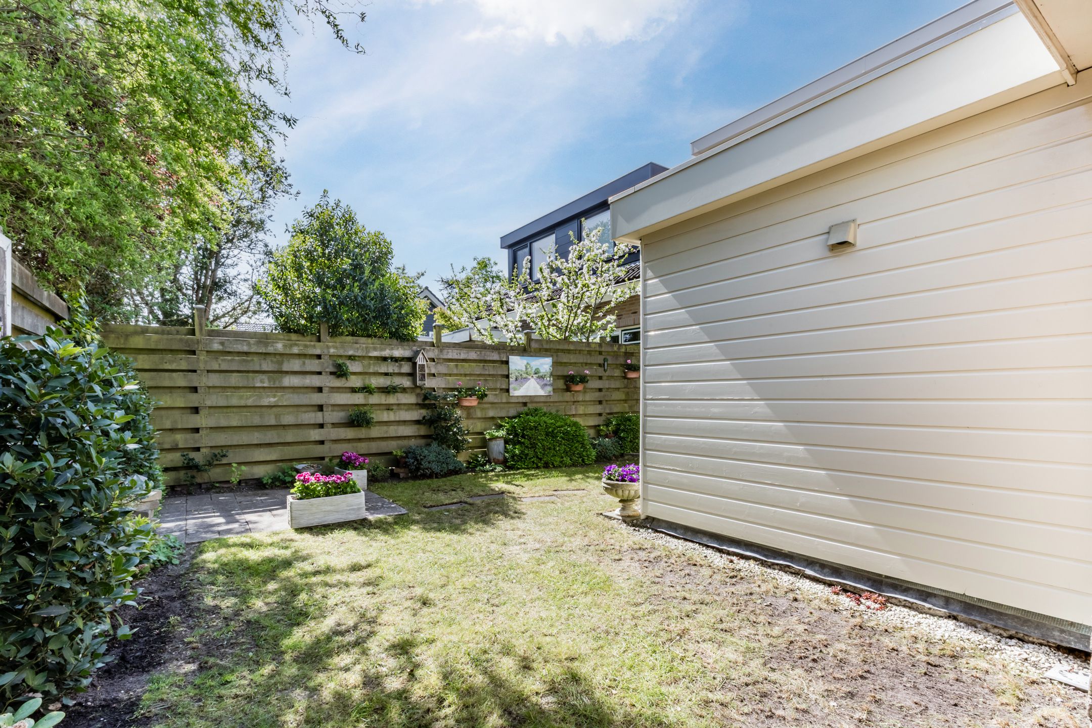 Foto 48 van N.T. Hopmanstraat 1