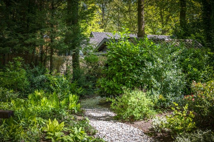 Foto 65 van Bosweg 6